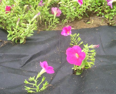 Biodegradable Nonwoven Weed Mat