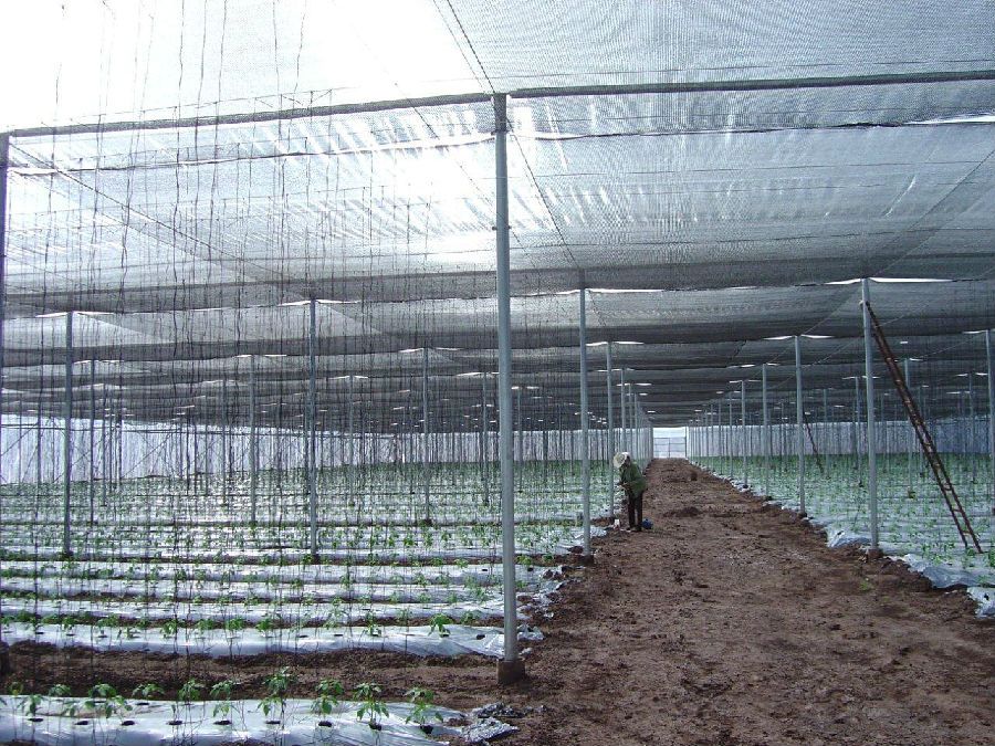 Sunshade Net 6 Needle For South American Market