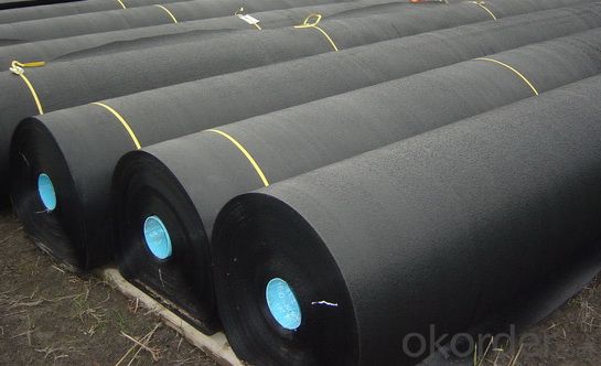 0.5mm HDPE Geomembrane for Road Construction