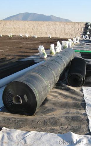 Geomembrana 2.5mm of New  HDPE for The Highway