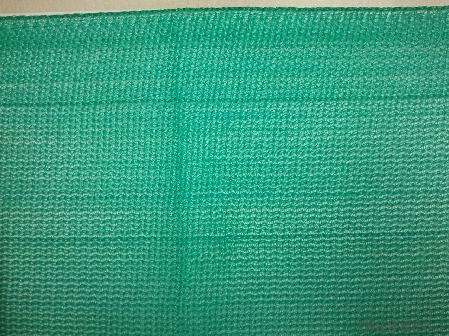 Scaffolding Net Mono Filament  150gsm Blue or Green Color