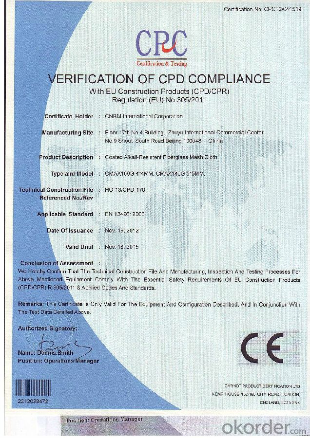 Fiberglass Mesh with CE Certification, Gts Test Certification