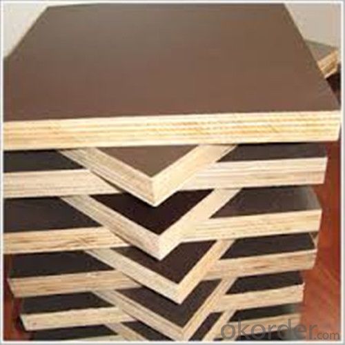 Professional Plywood Manufacturer