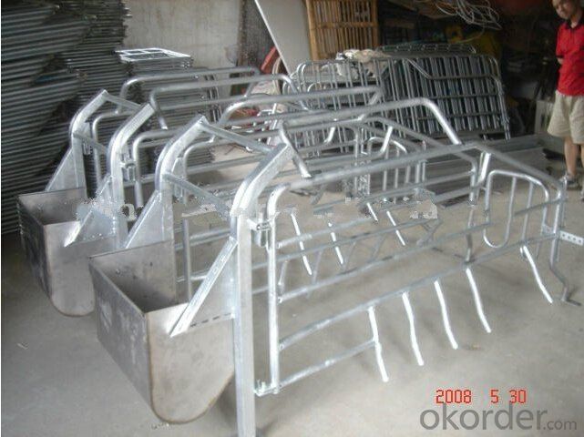 Hot Galvanized Gestation Stall for Cows and Cattle