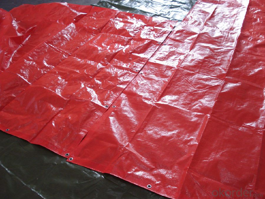 Leno PE Tarpaulin Waterproof Film for Covering