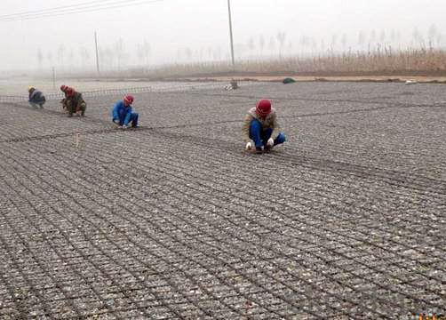 Biaxial Coal Mine Safety Polyester Geogrid