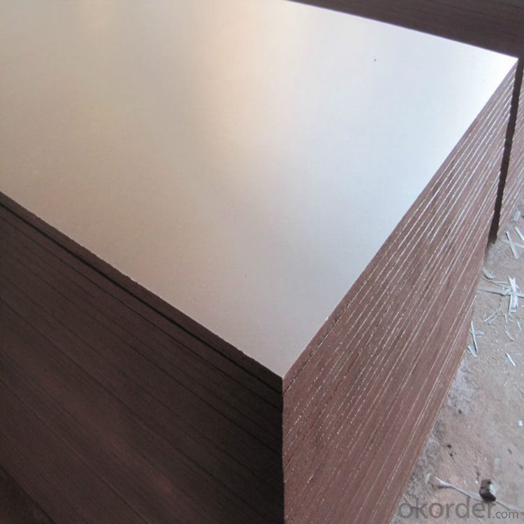 18mm Black Film Faced Plywood / Brown Film Faced Plywood
