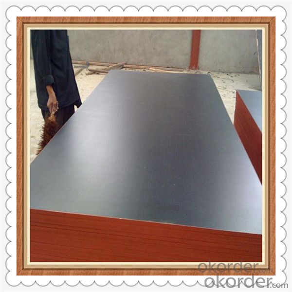 Brown Color Film Faced Plywood with 1220*2440*18mm Thickness