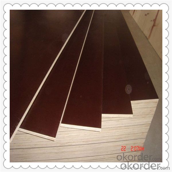 Brown Color Film Faced Plywood with 18mm Thickness Export to Myanmar Marcket