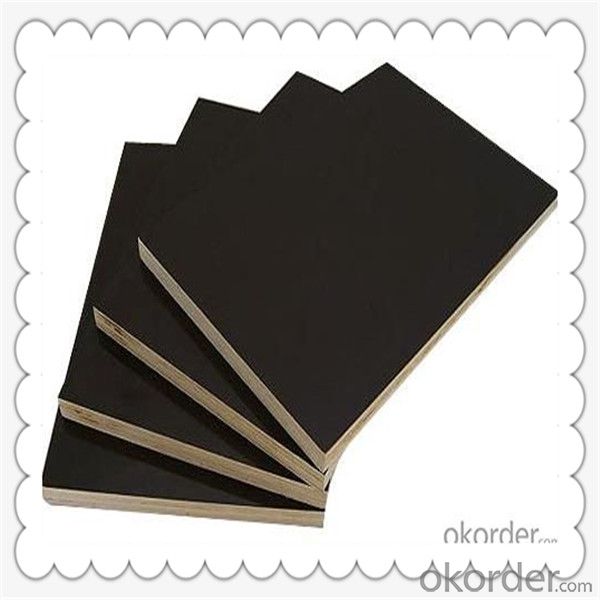 9mm Thickness Film Faced Plywood with Black Color Film