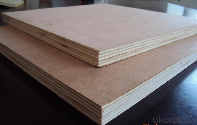 Pine Plywood  Birch Plywood for Furniture wood veneer 18mM