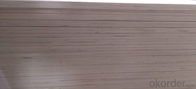 Birch Plywood laminator board plywood machine / pre finished birch plywood