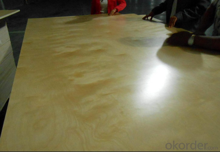 UV Coated Birch Melamine Plywood Commercial Plywood for Sale  for Furniture