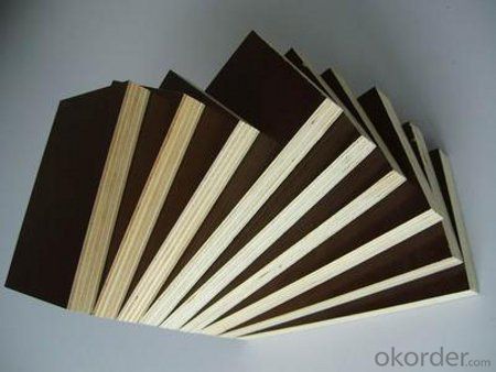 Film Faced Plywood Black o Brown  for Construction
