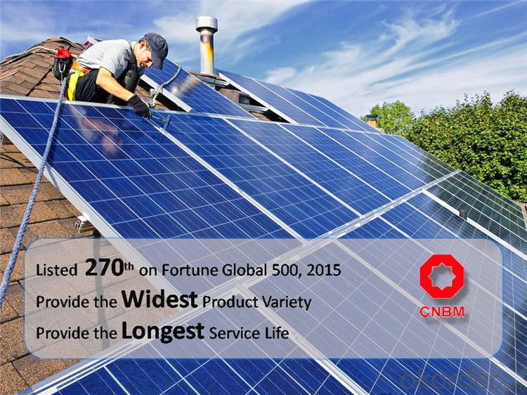 Solar Panel 255Wp special for Off-grid Solar Power System Paneles Solares