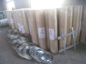 Welding Wire Fence Mesh  Electro Gavinized Wire Mesh