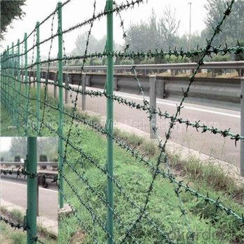 Barbed Wire Hot Dipped/ Electric Galvanized Double Twist for Fence