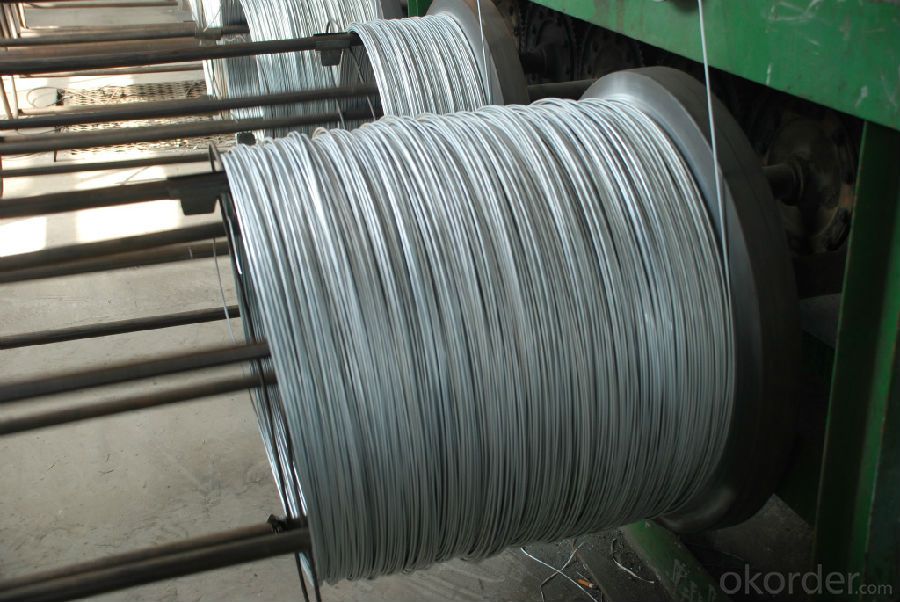 Galvanized Steel Wire with All Kinds of Specifications