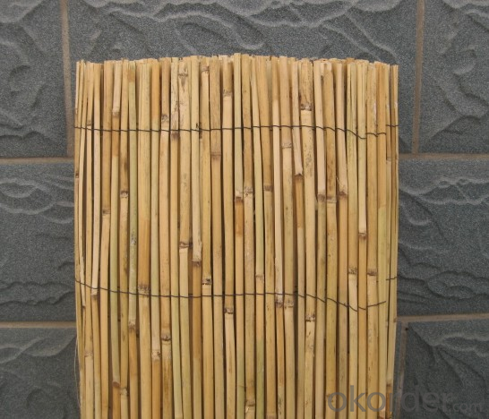 Product Reed Fence Decoration Product Yard