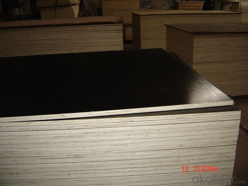 Finger Jointed Core Brown Film Faced Plywood