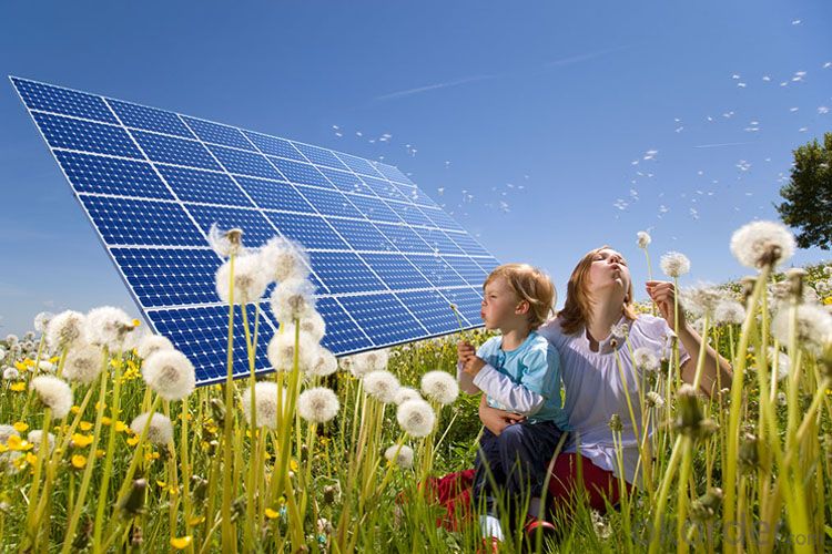 Solar Panels for Home Lighing Solar Panel Kit 10w to 500w