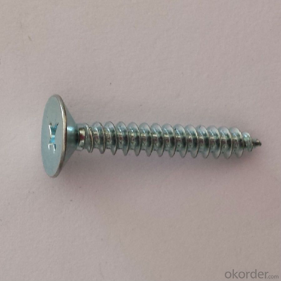 Din7982 Cross Recessed Countersunk Head Stainless Steel Tapping Screw