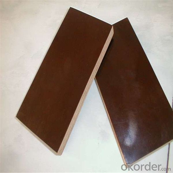 Construction Plywood 18mm Film Faced Plywood Marine Plywood Price at Wholesale