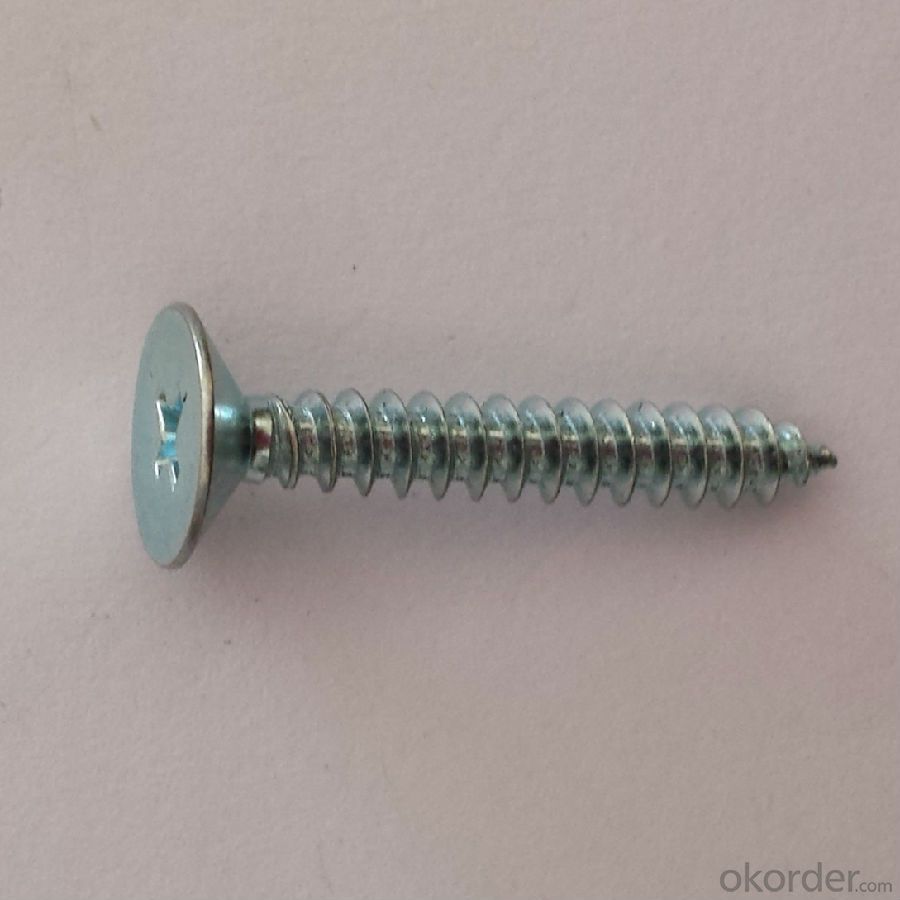 Cross Recessed Pan Head Drilling Screws with Tapping Screw Thread DIN 7504