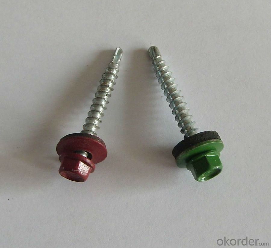 Stainless Steel 316 Self-Tapping Cross Head Screw/Self Tapping Screw/Machine Screw