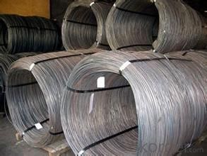 SAE1008 Steel Wire rod 5.5mm with Best Quality
