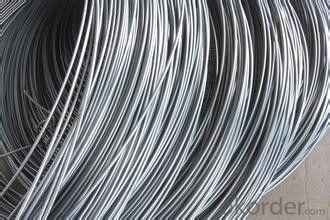 Hot Rolled Steel Wire Rod 6.5mm with in China