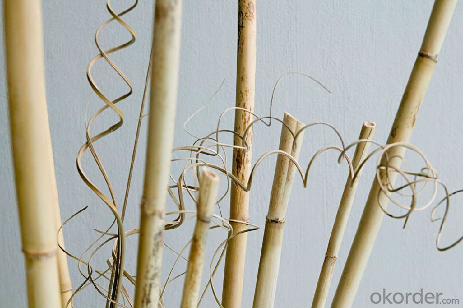 Natural White Bamboo Pole Natural White Bamboo