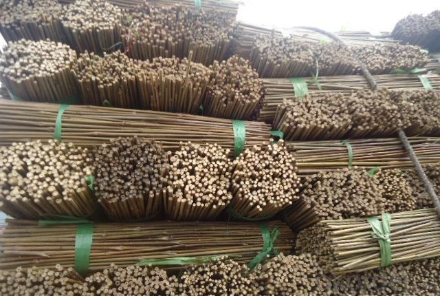 Natural Bamboo Tonkin Sticks for Decoration