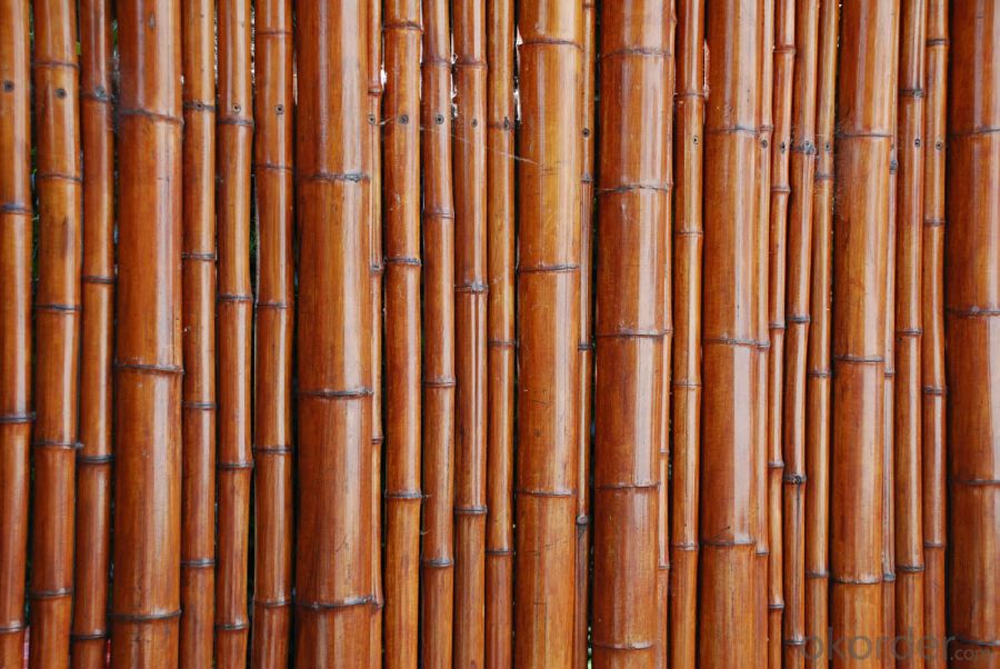 Bamboo Pole Natural Bamboo Sticks Pole Natural