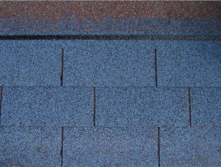 Asphalt Roofing Shingle /Insulated Panels for Roofing