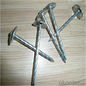 Zinc Plated Roofing Nails Stainless Steel Roofing Nails From CNBM