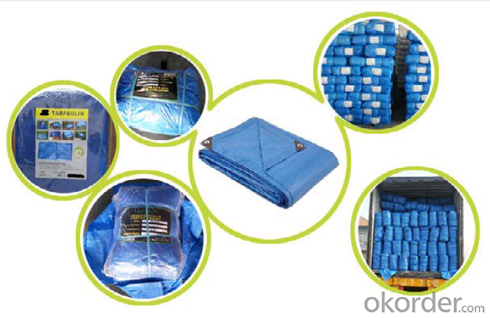 China PE Tarpaulin Factory Package Bale loading containers / China