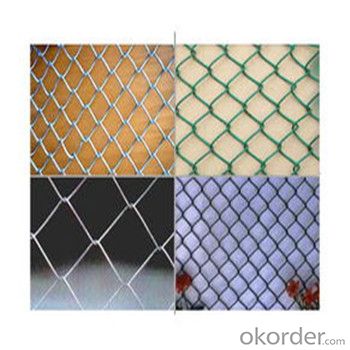 PVC Coated Chain Link Wire Mesh Factory in CNBM Made in China