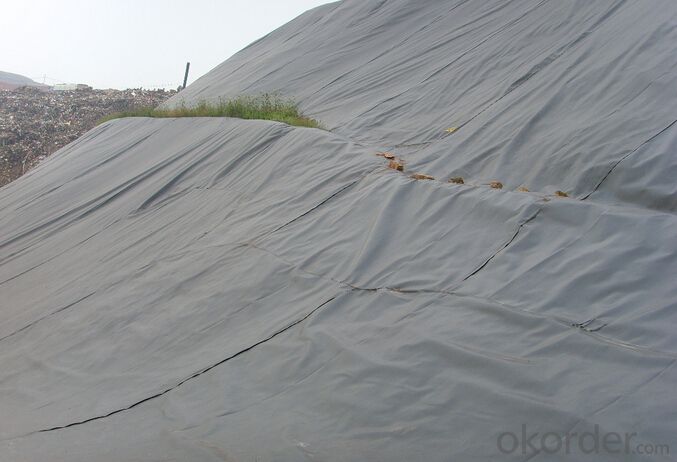 PP Short Fiber Geotextile for Landfill Projects