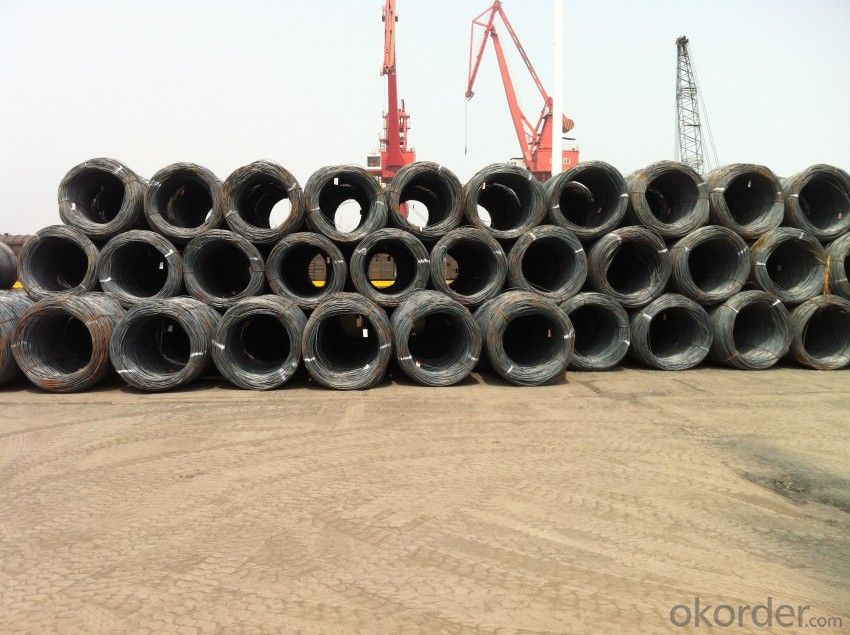 Hot Rolled Steel Wire Rods with Grade ASTM SAE1008