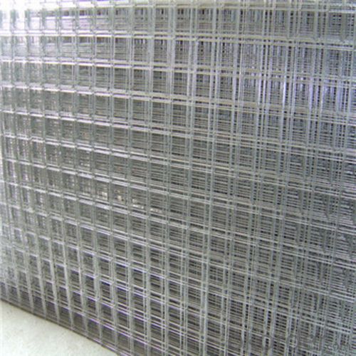 Welded Wire Mesh Teel and Plastic Wire Mesh All Kinds and All Size