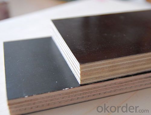 Black/Brown/Red Film Faced Plywood for Construction