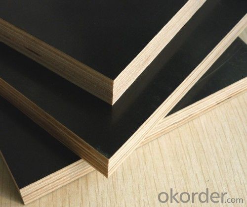 Film Faced Plywood for Construction with Brown Film