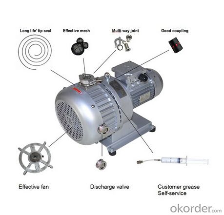 Dry Scroll Explosion-proof Vacuum Pumps