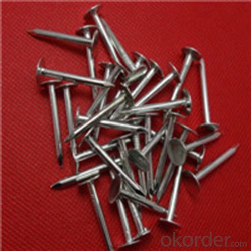 Copper Packing Steel Straping Buckle Commen Nails Roofing Nails