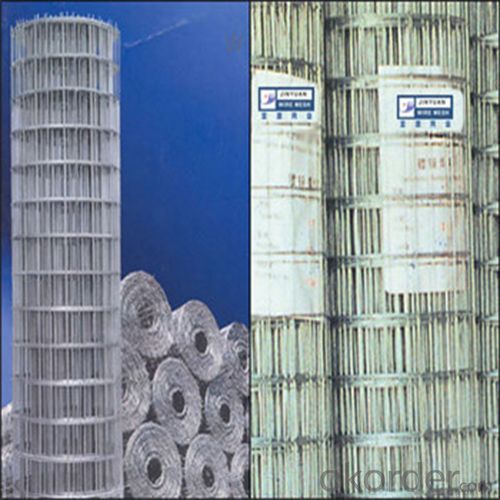 Plastic Coated Iron Wire Galvanzied After Welded Wire Mesh