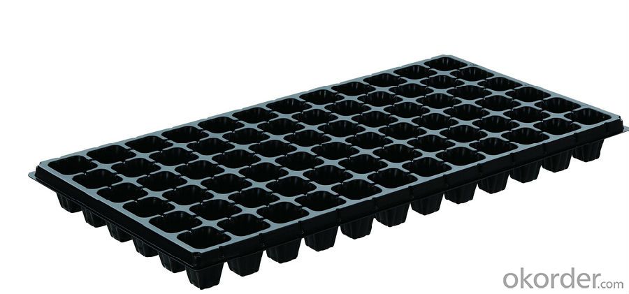 Plant Plastic Seedling Tray with large dimension