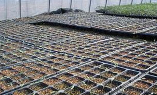Vegetable Seedling Tray Rice Planting Tray Plastic Nursery Tray
