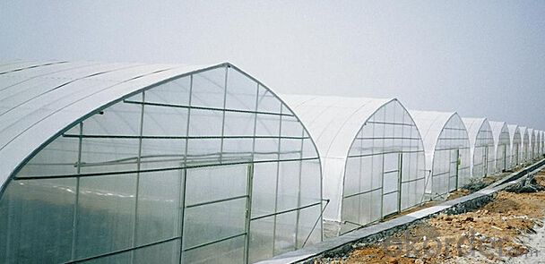 Economical Glass Sheet Greenhouses for Flowers