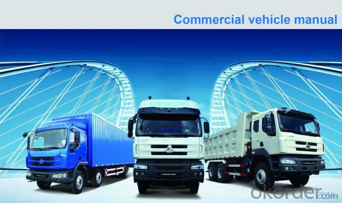 Chenglong  6*4 Cargo Truck with Lower Consumption